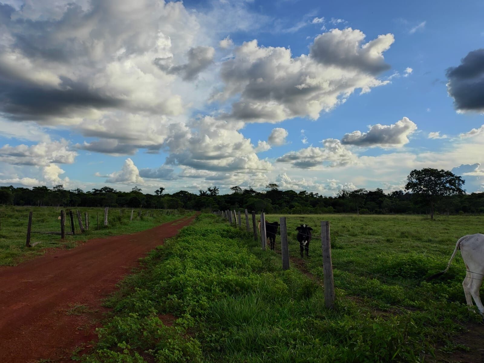 Foto de Sítio no Assentamento São José