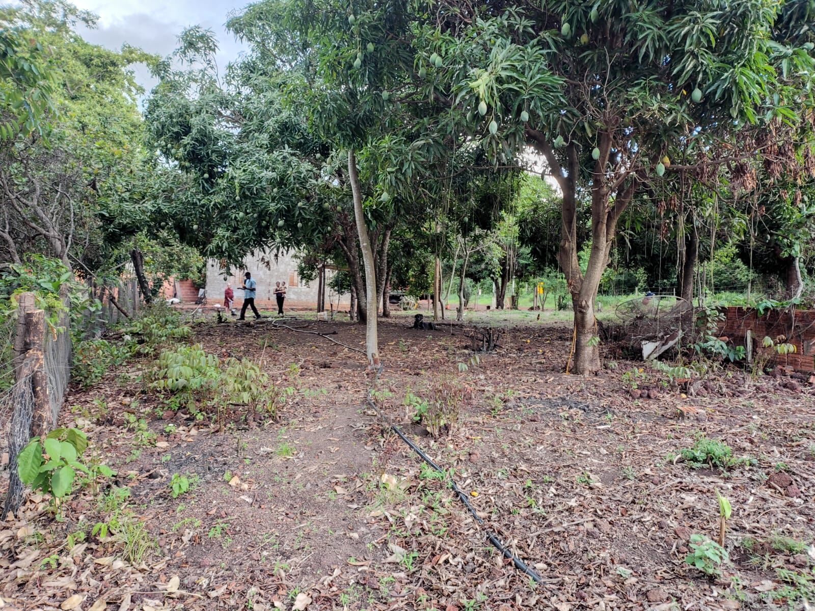 Foto 7 de Sítio no Assentamento São José