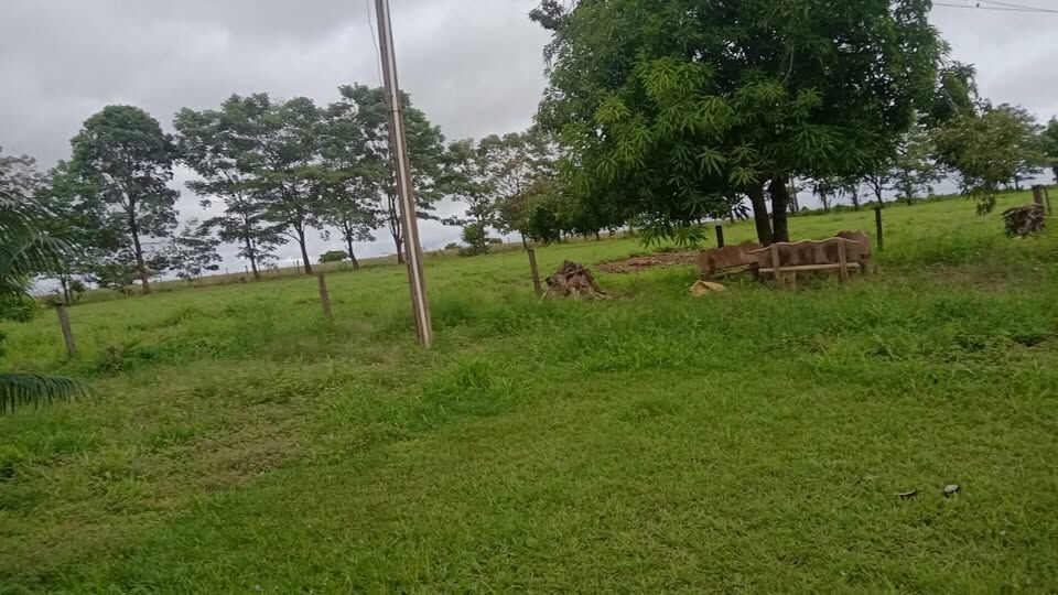 Foto 6 de Sítio na Área Rural
