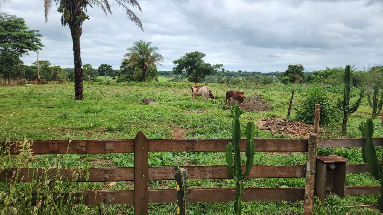 Foto 4 de Chácara na Área Rural