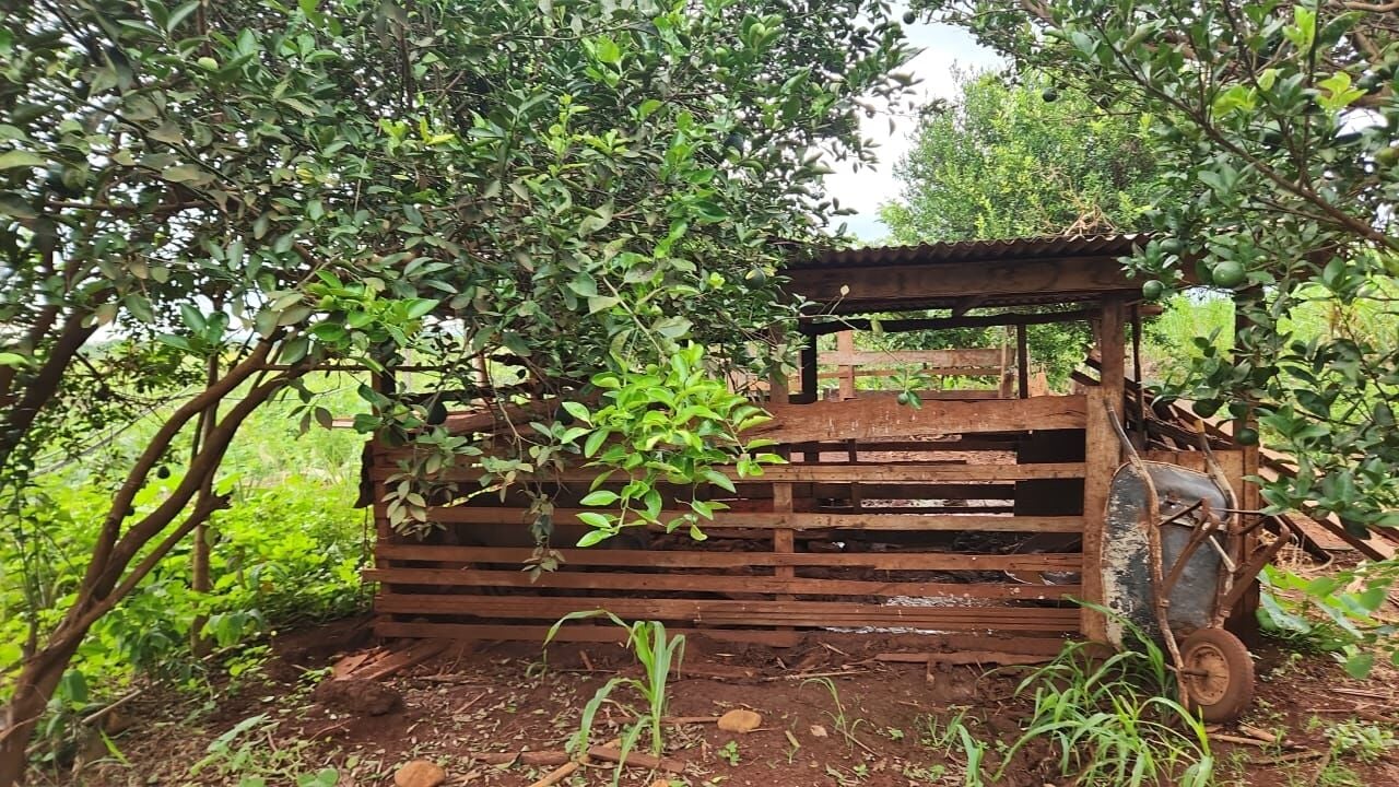 Foto 6 de Chácara na Área Rural