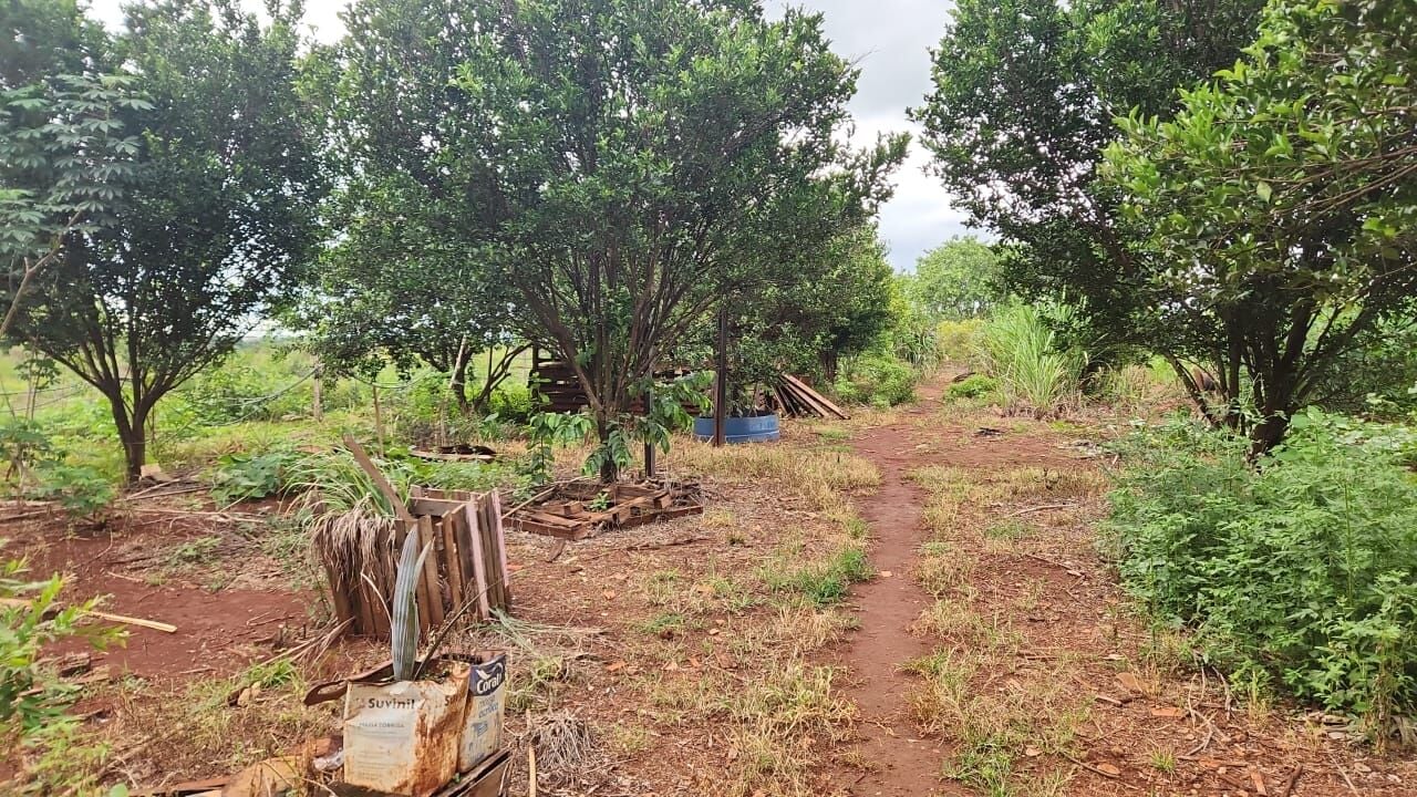 Foto 7 de Chácara na Área Rural