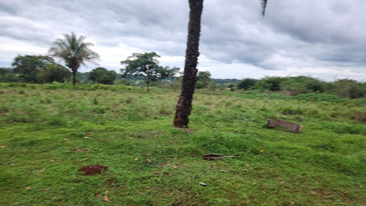 Foto 10 de Chácara na Área Rural