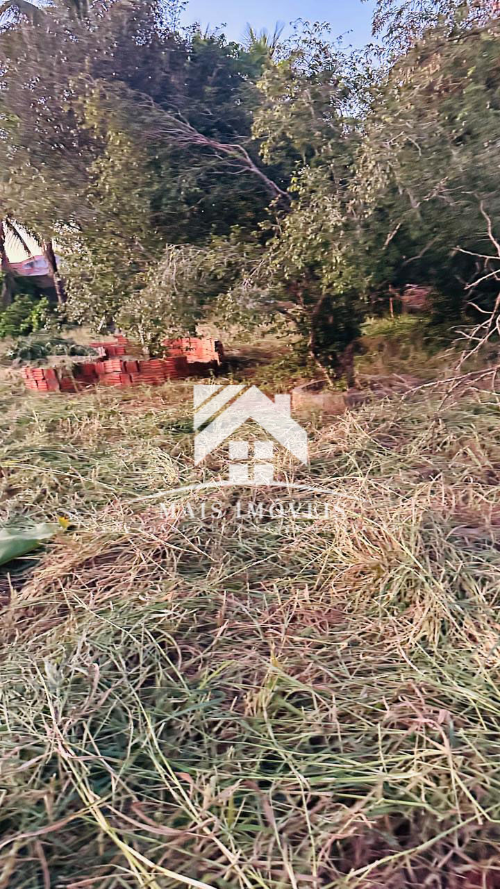 Foto 4 de Terreno no Centro