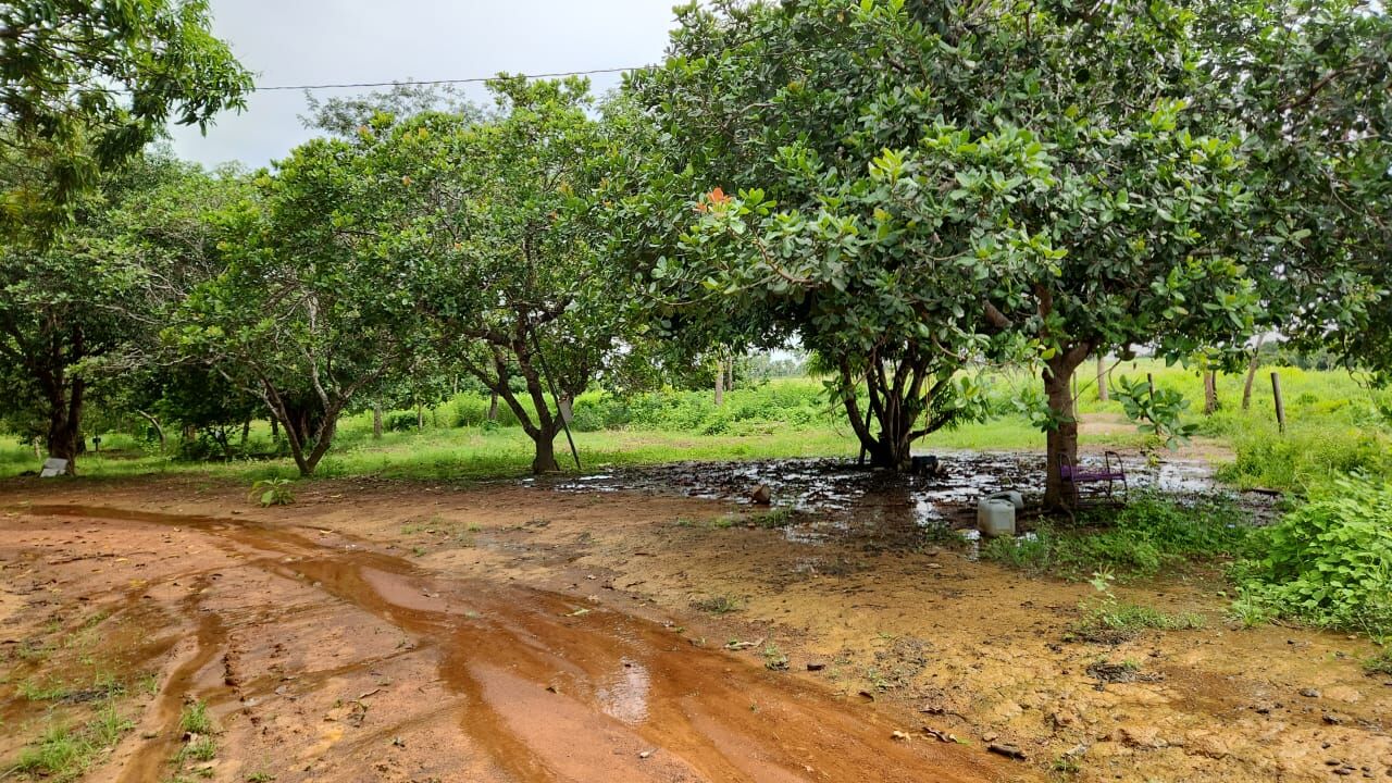 Foto 6 de Apartamento no Antônio Conselheiro