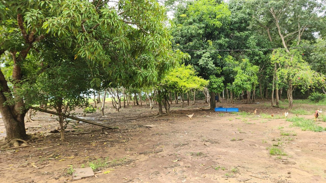 Foto 10 de Apartamento no Antônio Conselheiro