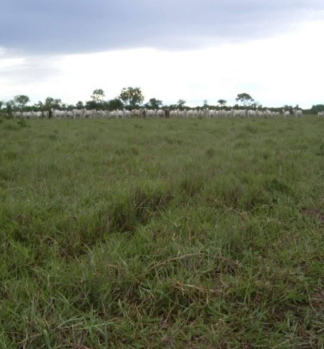 Foto 7 de Fazenda na Área Rural