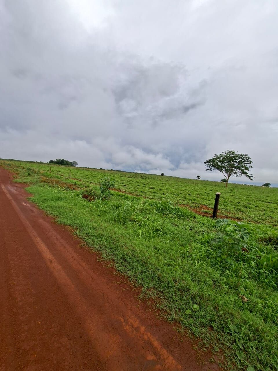 Foto 1 de Sítio na Área Rural