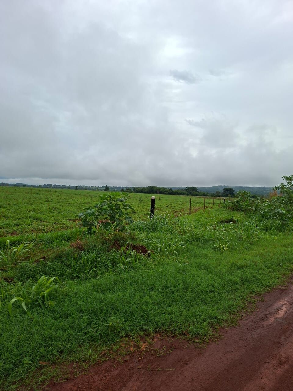 Foto 3 de Sítio na Área Rural