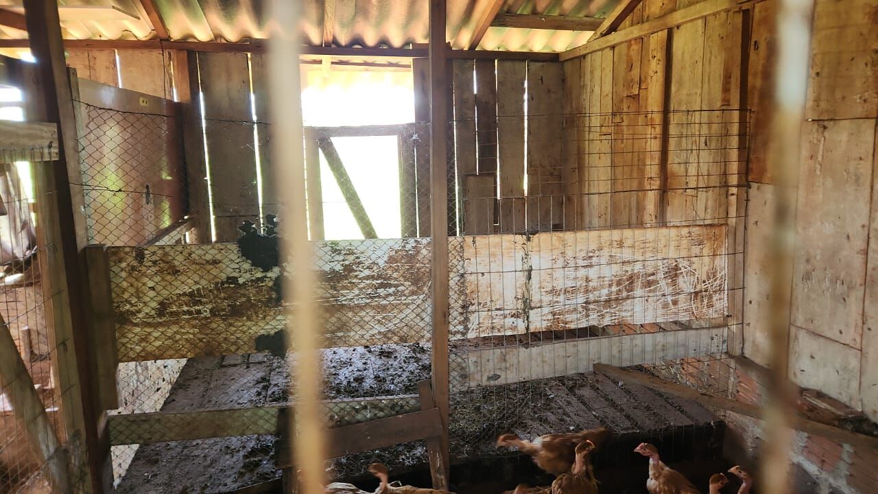 Foto 17 de Chácara no Linha 12