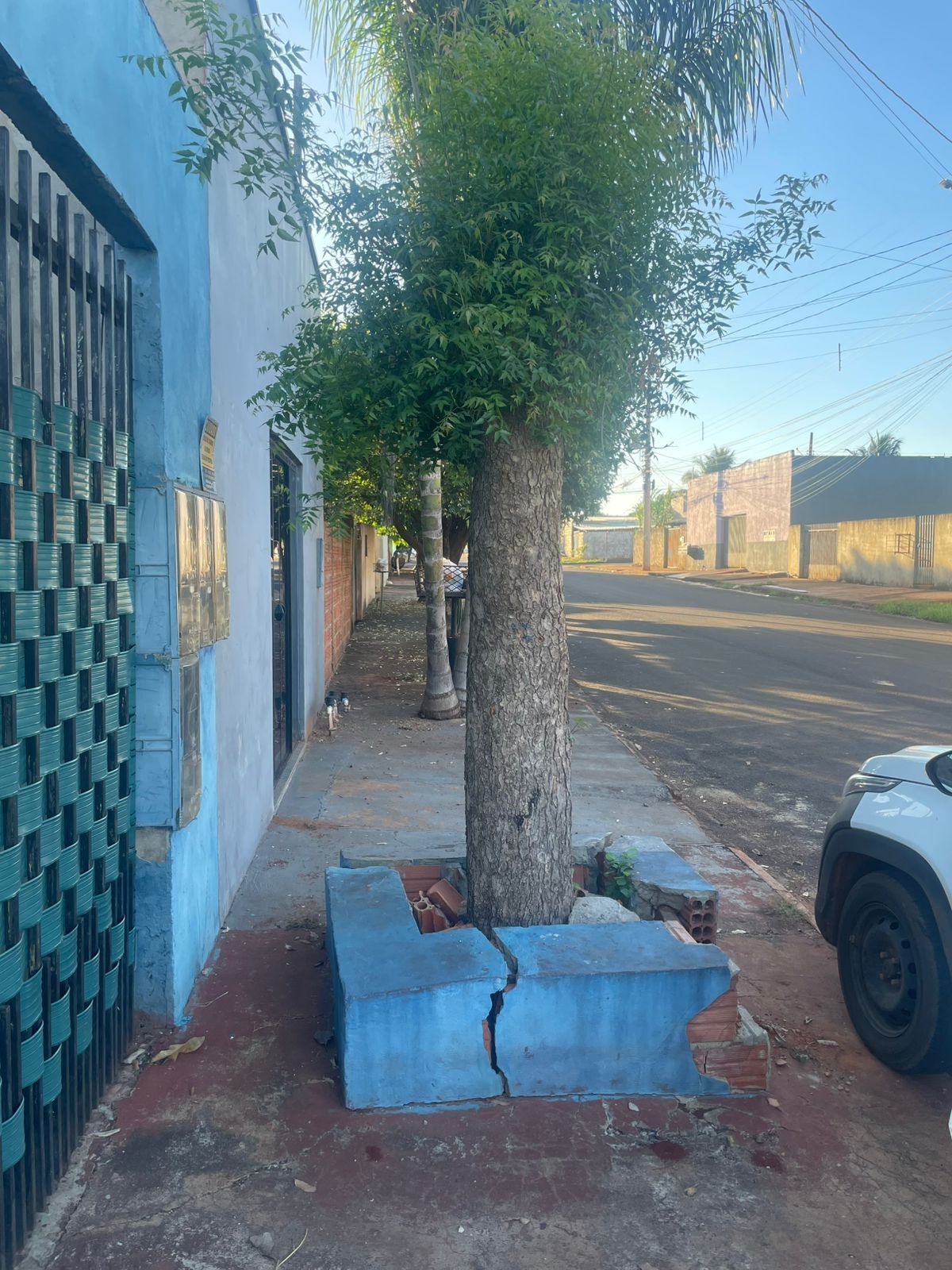 Foto 25 de Casa no Jardim Monte Líbano