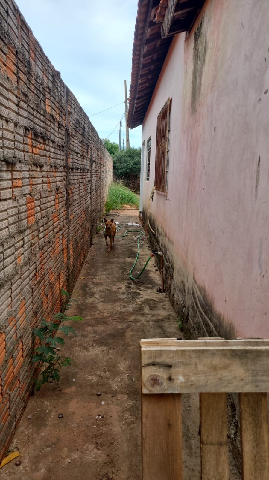 Foto de Casa no Jardim Califórnia