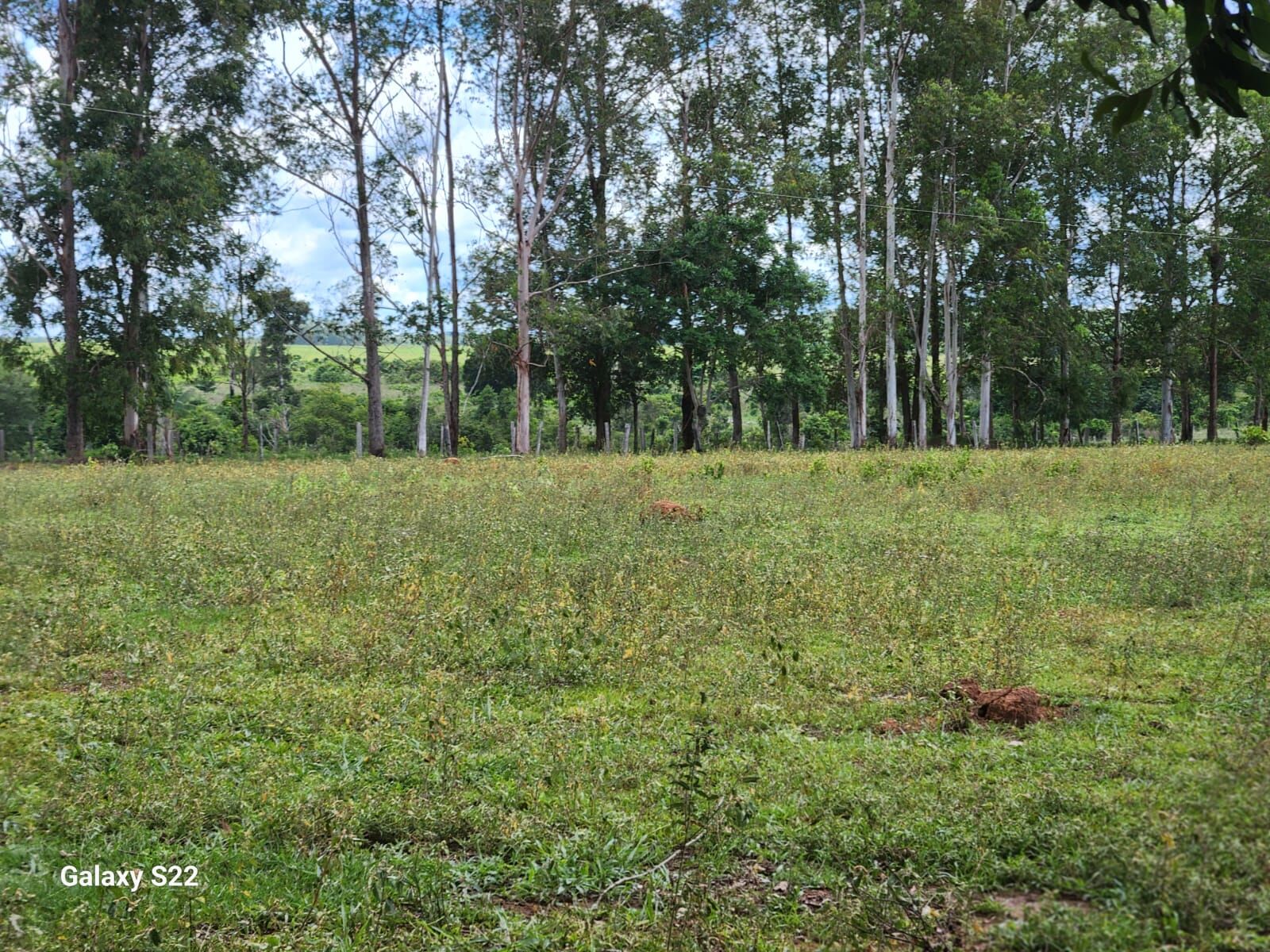 Foto 3 de Fazenda no Rural