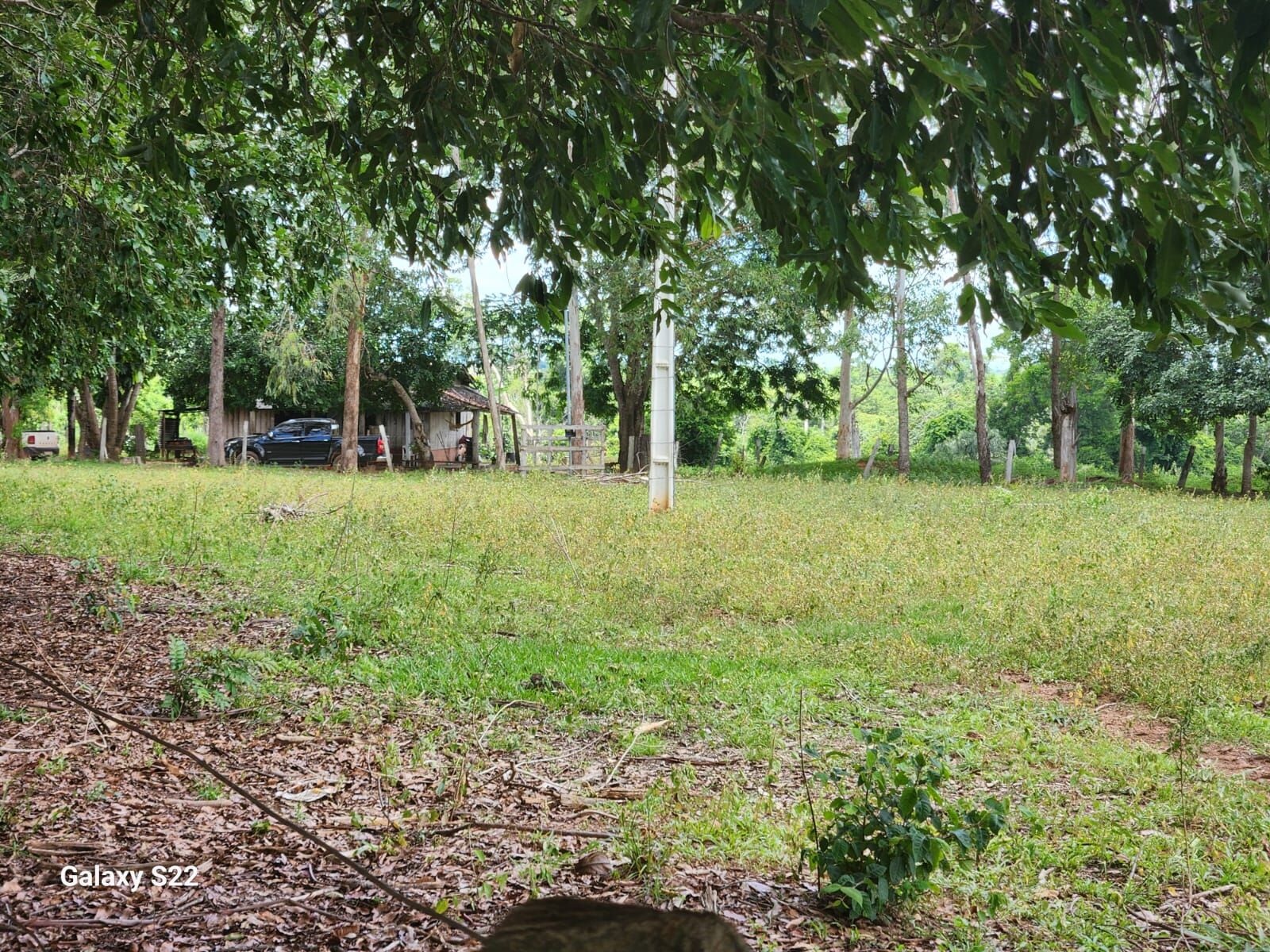 Foto 4 de Fazenda no Rural
