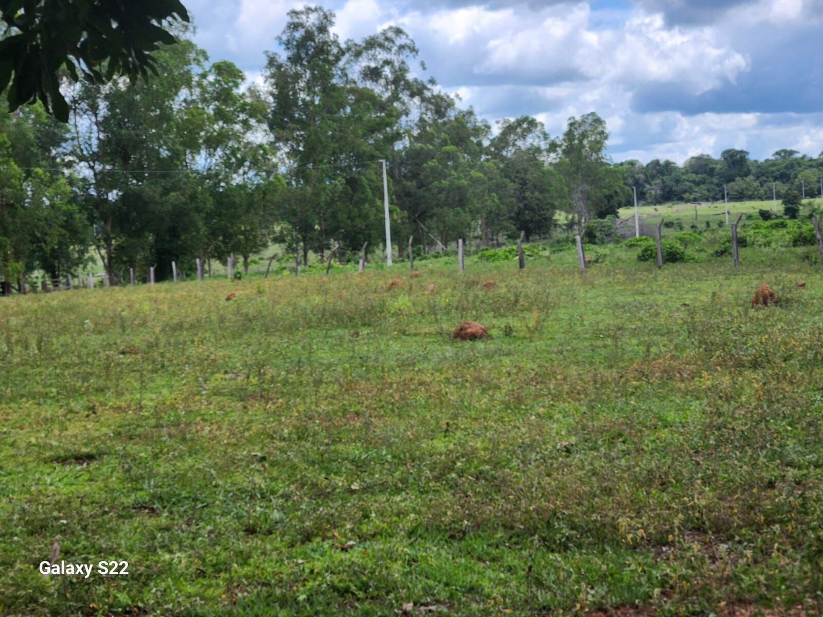 Foto 7 de Fazenda no Rural