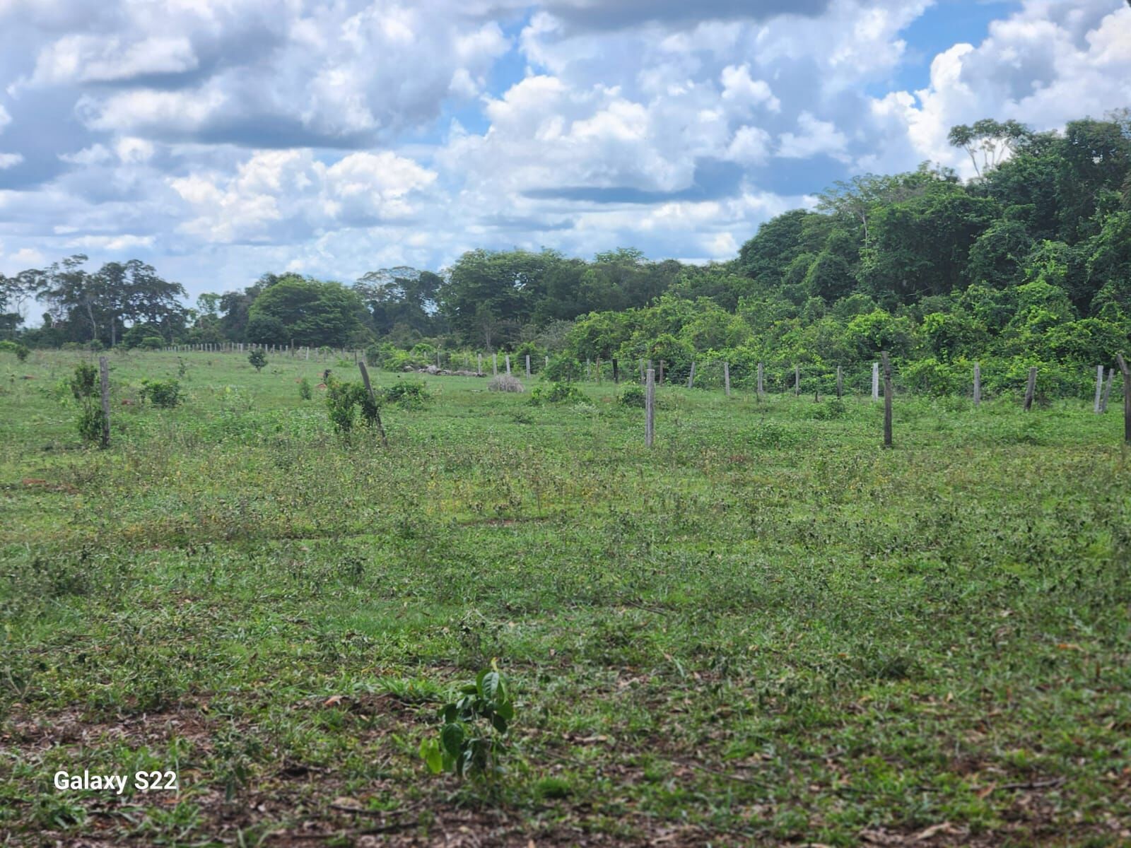 Foto 10 de Fazenda no Rural