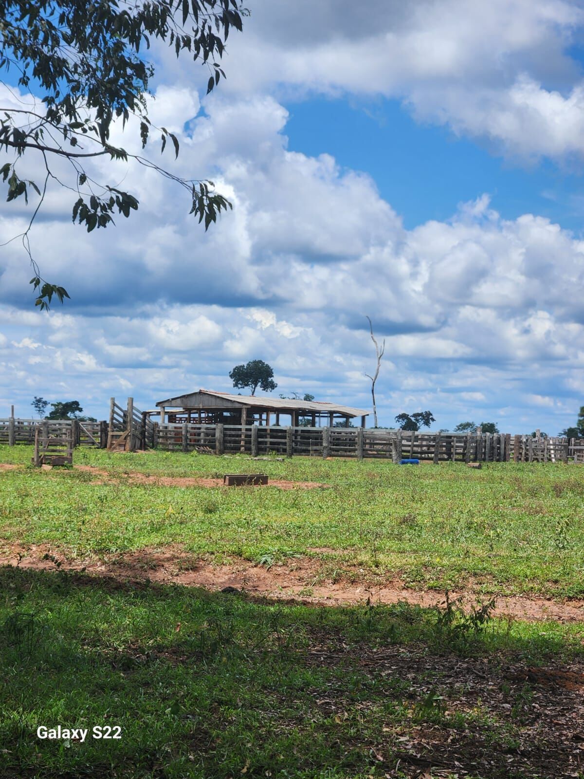 Foto 16 de Fazenda no Rural