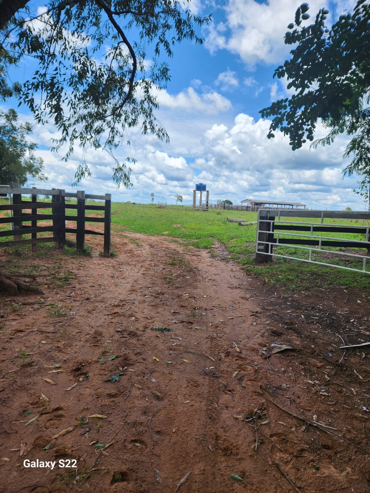 Foto 17 de Fazenda no Rural