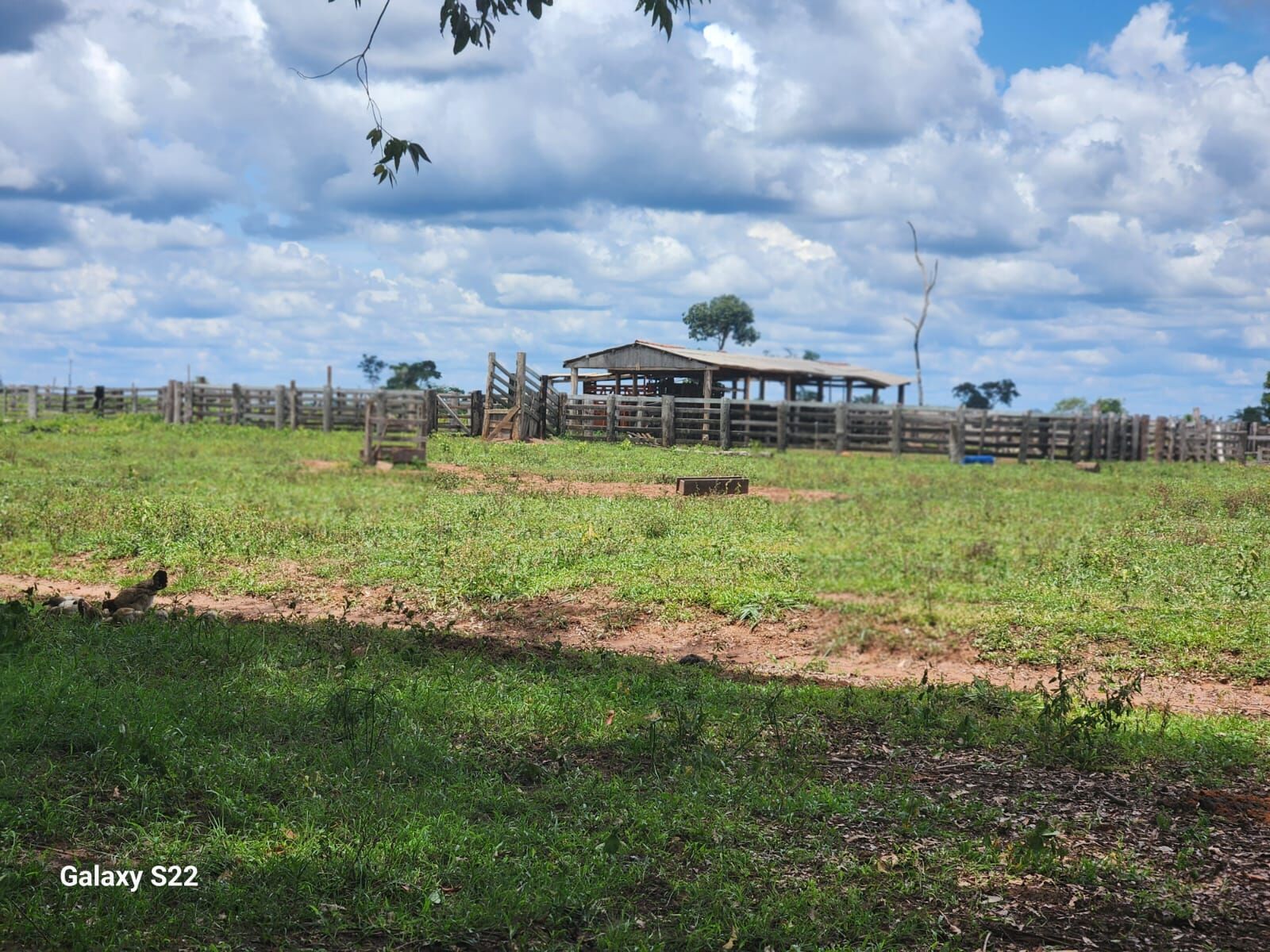 Foto 18 de Fazenda no Rural
