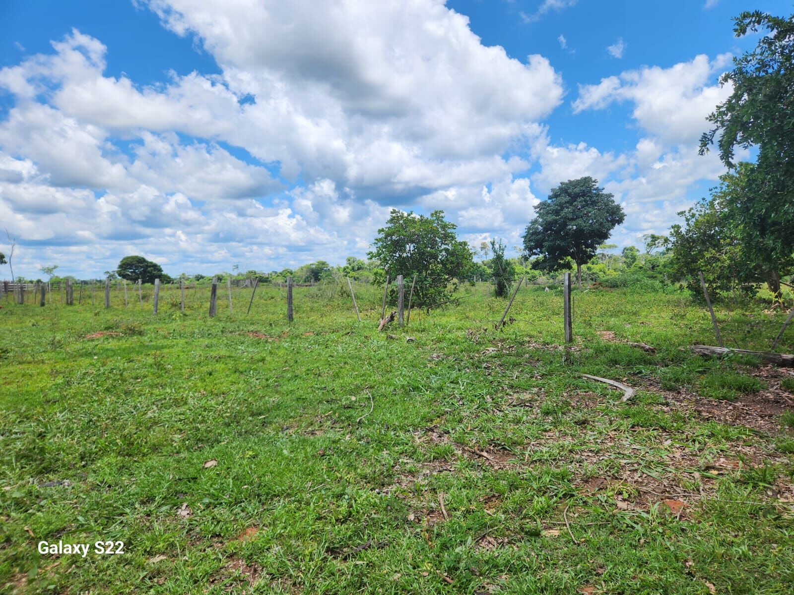 Foto 21 de Fazenda no Rural